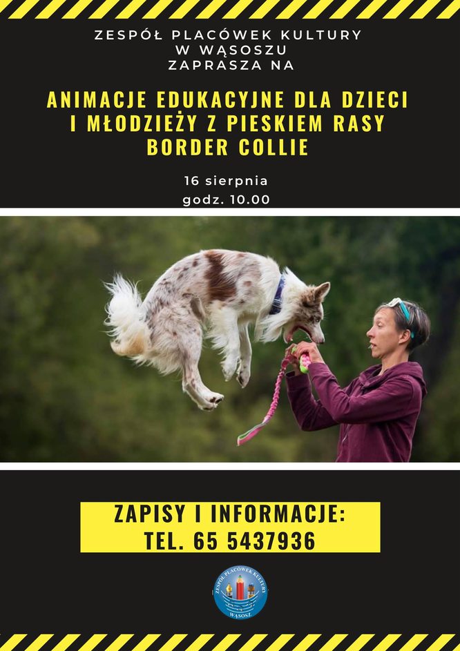 plakat zajęć
