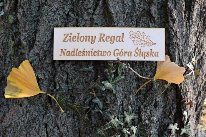 szyld na tle drzewa