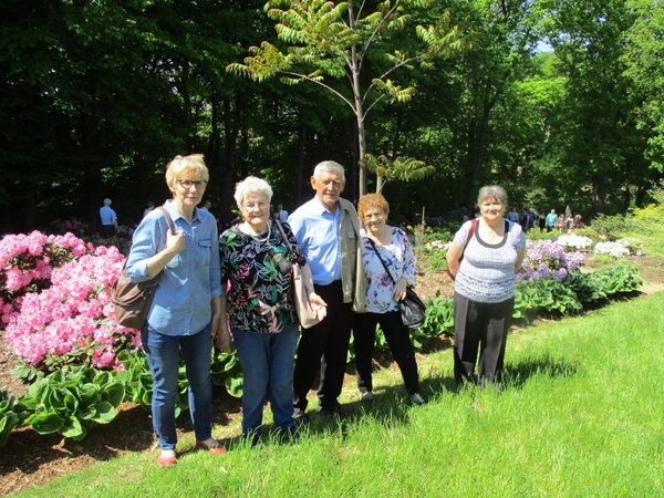 Arboretum w Wojsławicach