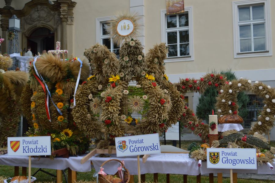 Dożynki Wojewódzkie w Krzyżowej